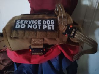 Service animal harness