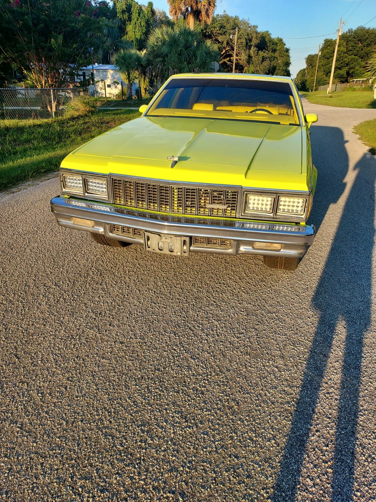1979 Chevrolet Caprice