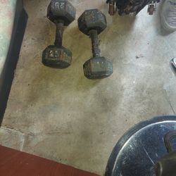 25 Lb Hand Weights