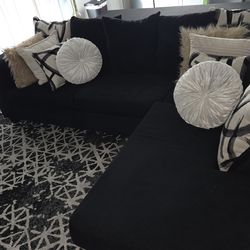 Couches and area rug