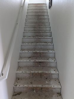 FLOORING Installation Services 