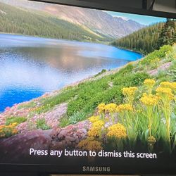 Samsung 46 Inch Commercial Color Display 460dx-2 