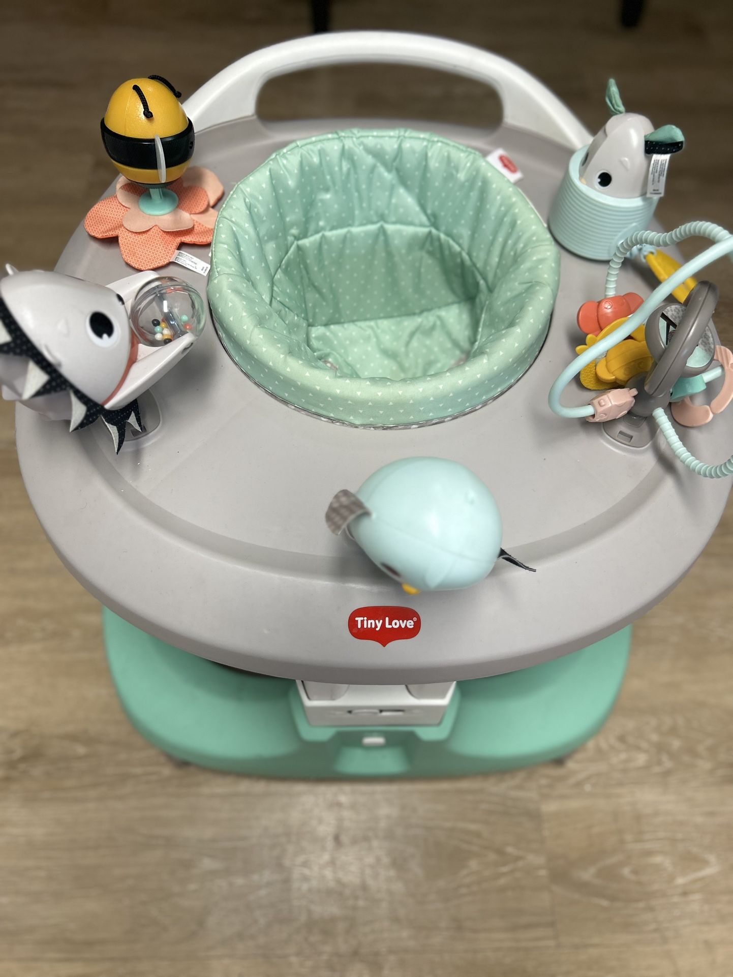 Tiny Love  Baby Walker