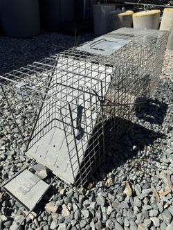 Cage Trap