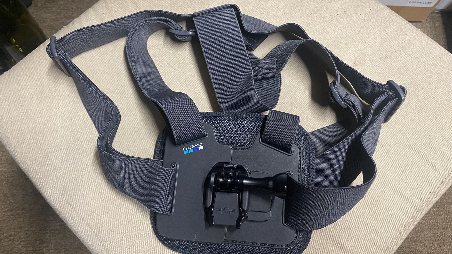 GoPro Chesty