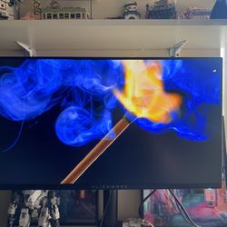 Alienware AW2521HFL 25 IPS FreeSync and G-SYNC compatible gaming Monitor (DisplayPort, HDMI, USB lunar lights