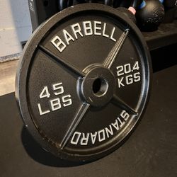 45lbs Metal Plate
