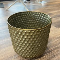 Flower Pot 
