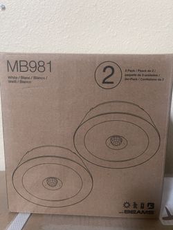 Mr. Beams 2 Pack Ceiling Lights