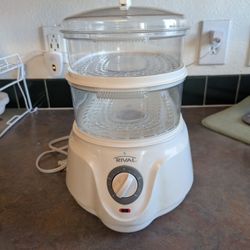 white Rival CKRVSTLM21 electric food steamer.