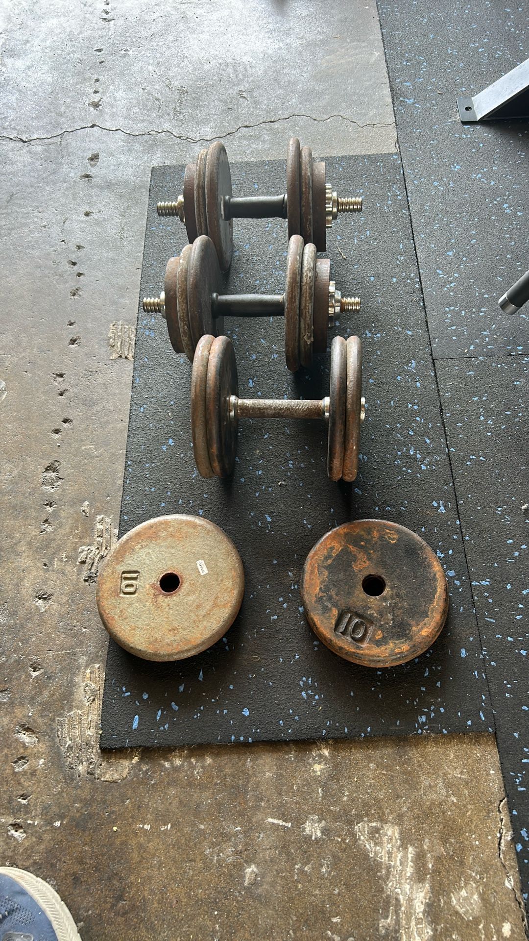 Weights Dumbbells 