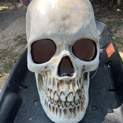Giant Plastic Skull Head 