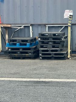 Plastic pallets $5 each