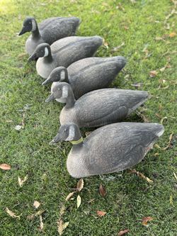 Vintage Victor Goose Decoys