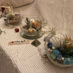Handmade Airplant Arrangements 