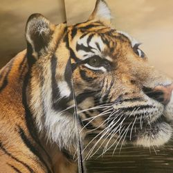 *Wooden Frame* 4 panel wall art Tiger Canvas *READY TO HANG** *NEW* SERIOUS INQUIRIES!!