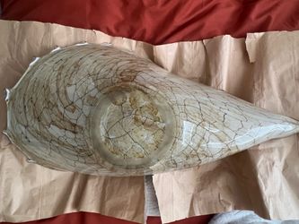 Large shell decor/centerpiece