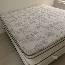 New King Mattress And Box Springs Bed Frame Is Not Included 