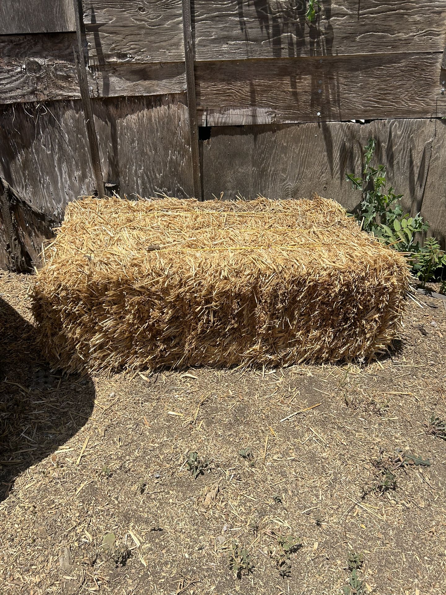 Hay Bale