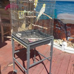 Bird Cage clean nice