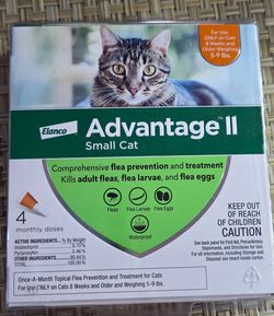 Small cat flea go-away