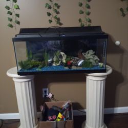 Fish Tank And Accessories