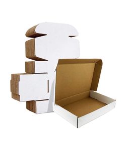 12x9x3 inches Shipping Boxes Set of 20, White Corrugated Cardboard Box Literature Mailer