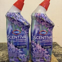 Clorox Toilet Bowl Cleaner 