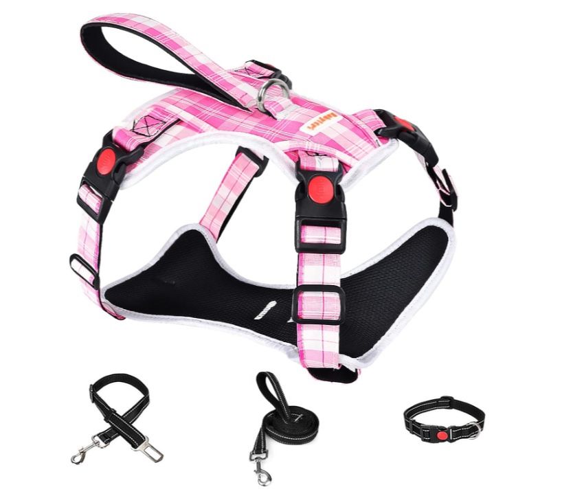 BABYLTRL No Pull Dog Harness with Leash & Collar Checkered Pink, Large, *NEW*