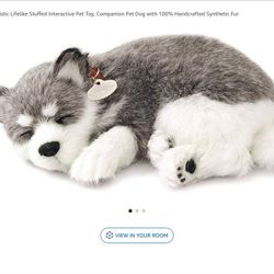 Petzz Alaskan Husky 