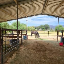Horse Boarding Near The White Tank Mountains 