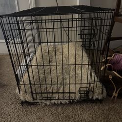 Dog Crate