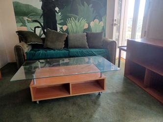 Glass & Wood Coffee Table & End Table (night stand)