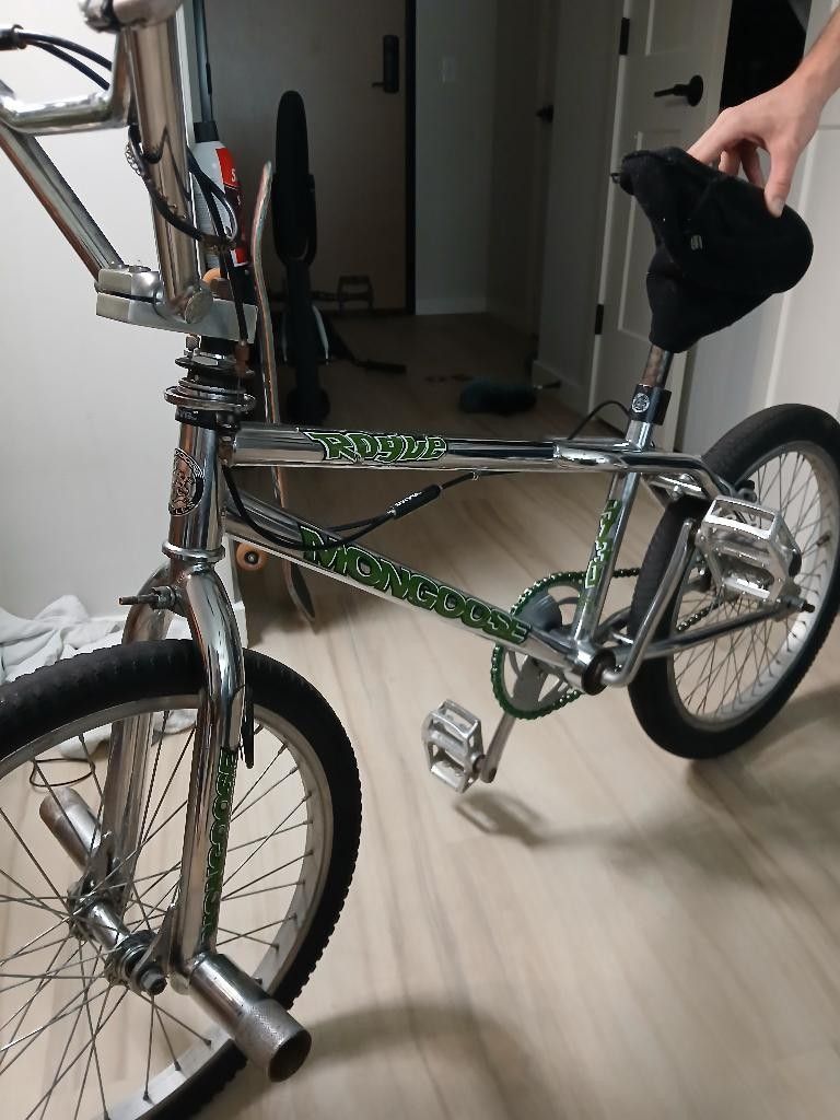 Mongoose Rogue