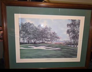 Framed BARRY HONOWOTZ
