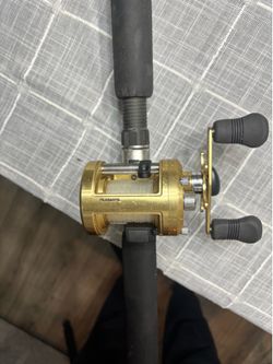 Shimano Calcutta 400B on 9ft bottom rod