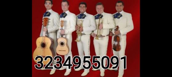 Violín Vihuela