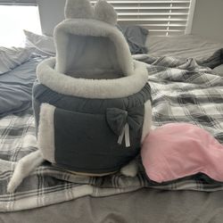 Cat backpack! 