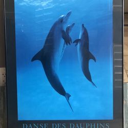 『Danse des Dauphins, 1989』 Bob Talbot Framed Danse des Dauphins print by Bob Talbot (34