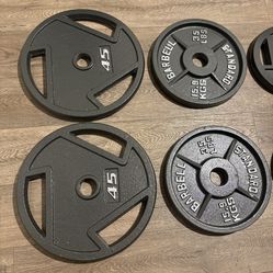 BRAND NEW Full Set Of Cast Iron Weight Plates  from 2.5s to 45s  Pounds [Total: 245 lbs] 