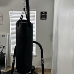 100 Lb Everlast Punching Bag With Speed Bag Attachment 