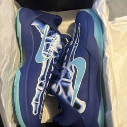 Kobe 5 Protro X-ray 