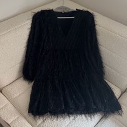 Zara Long Sleeve Black Dress