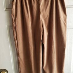 Used Briggs Petite Size Small  Light Brown Ladies Pants