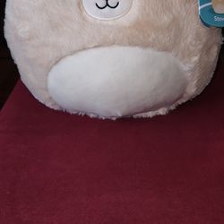 Squishmallow