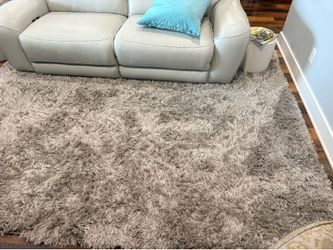 Beautiful Plush Gray Shag Rug