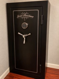 Second Amendment safe