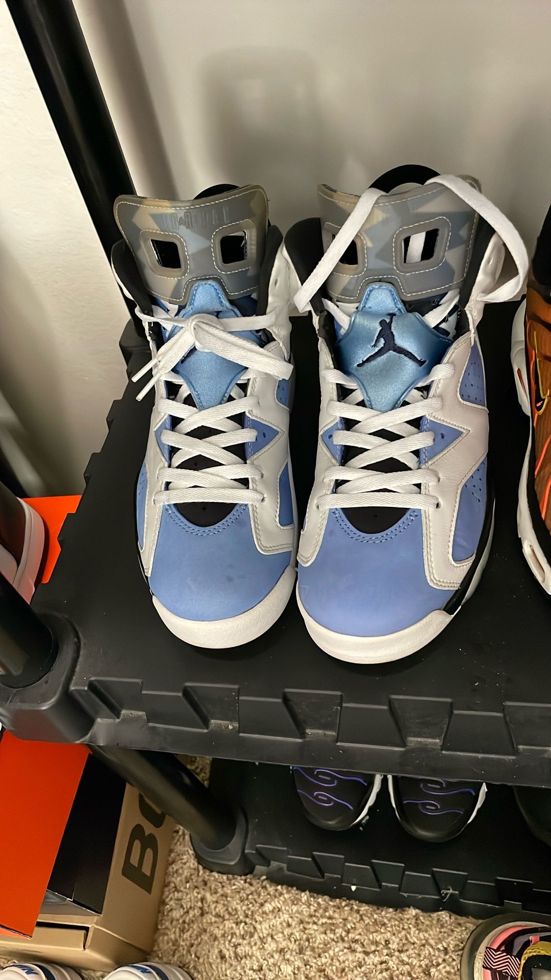 Jordan 6s