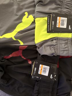 2 Pack - Puma Men's Regular Fit Cat Training Fitness Shorts, Gray/black, Size S