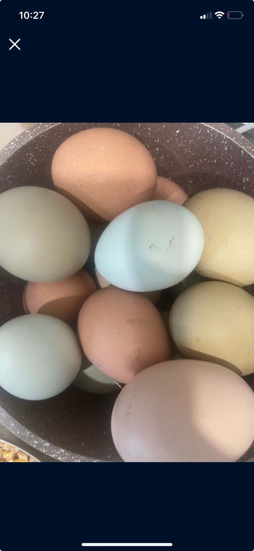 Eggs